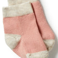 WILSON & FRENCHY ORGANIC 3 PACK SOCK PEACH/SHELL/OATMEAL