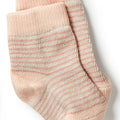 WILSON & FRENCHY ORGANIC 3 PACK SOCK PEACH/SHELL/OATMEAL