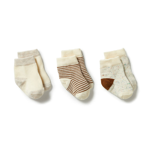 WILSON & FRENCHY 3 PACK SOCK NOUGAT/EGGNOG/OATMEAL