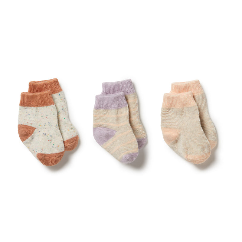 WILSON & FRENCHY SOCKS - CREAM TAN/LILAC ASH/CAMEO ROSE