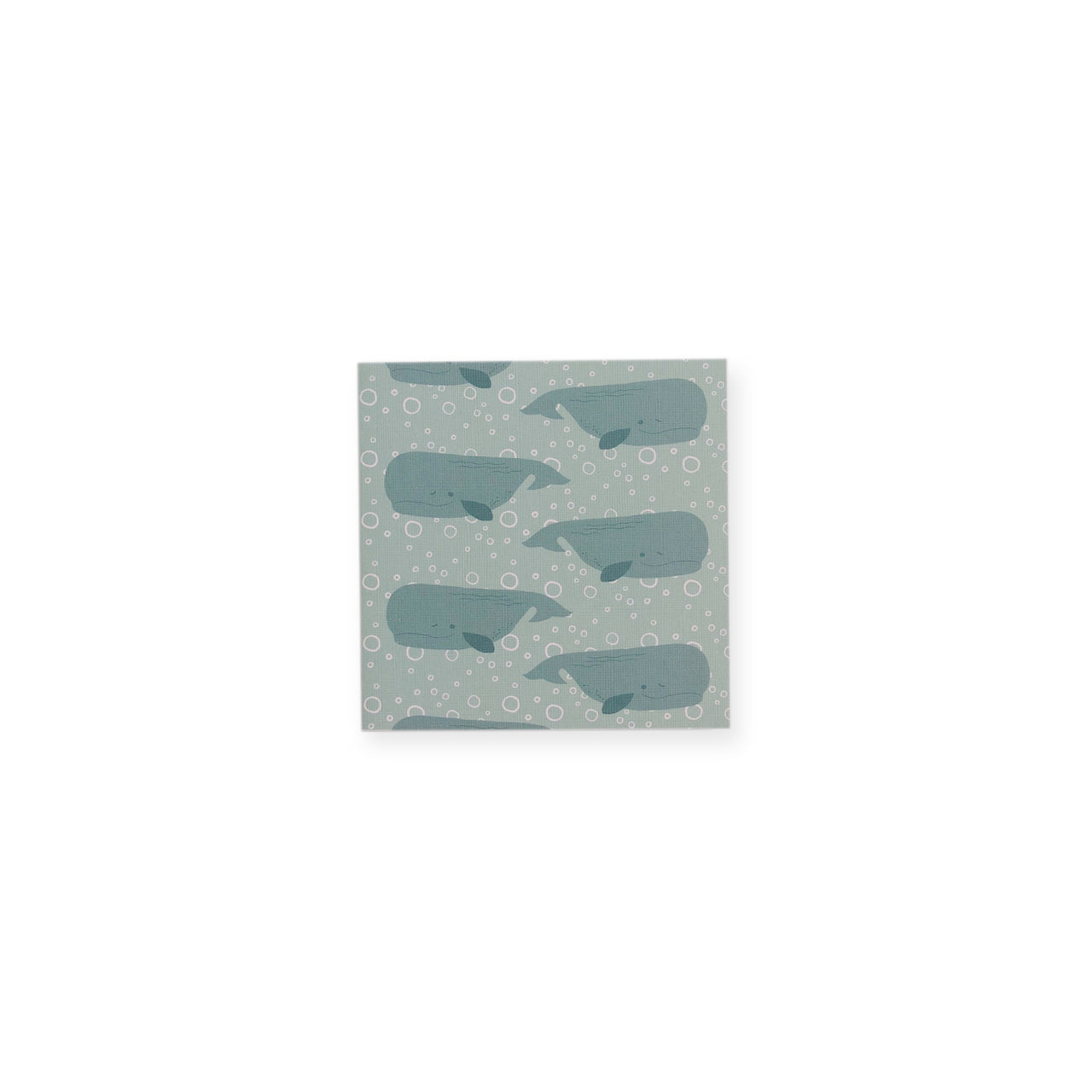 CARD SMALL - WHALE PACK
