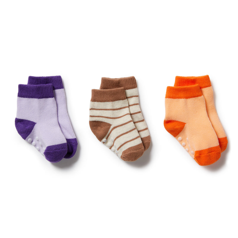 WILSON & FRENCHY  3 PACK BABY SOCKS