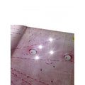 SASSI BOOKS - SOUND BOOK PLUS LIGHTS, CAMERA, ACTION - THE MOON GOES ON HOLIDAYS