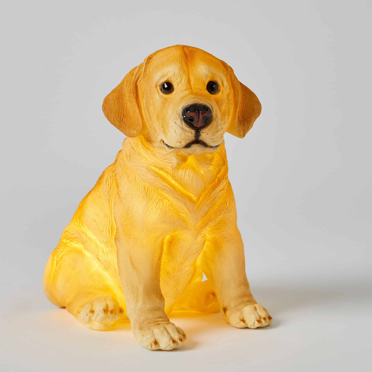 NIGHT LIGHT LABRADOR