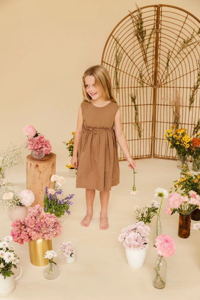 ALEX & ANT DELPHINE DRESS NUTMEG