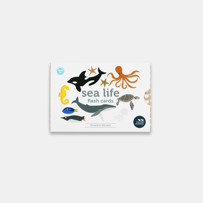 SEA LIFE FLASH CARDS