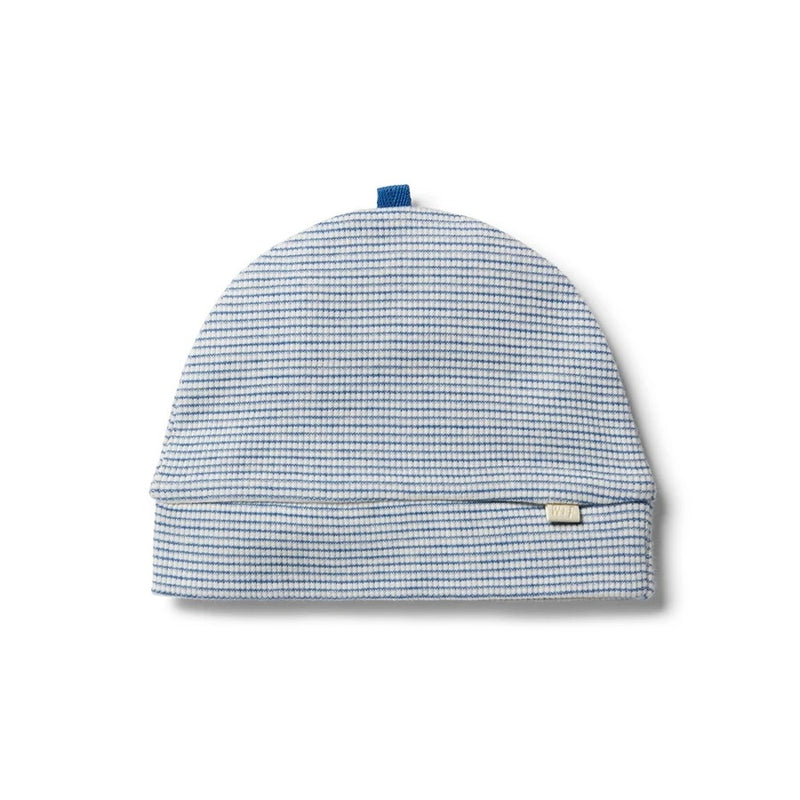 WILSON & FRENCHY ORGANIC STRIPE BEANIE SAPPHIRE ECRU